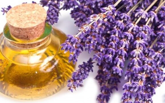 Lavender