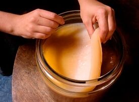 Tea Fungus Treatment