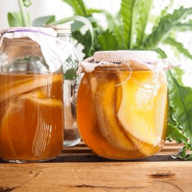 Fungus tea mushroom