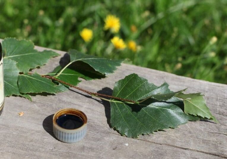 fungus birch tar